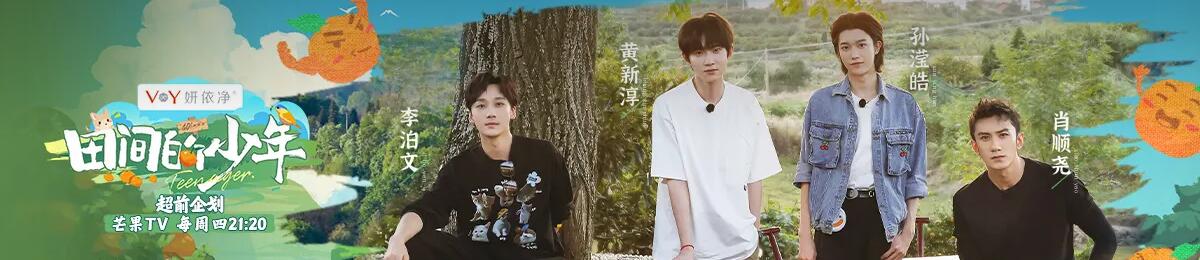 田间的少年