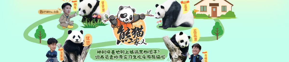 熊猫一家人