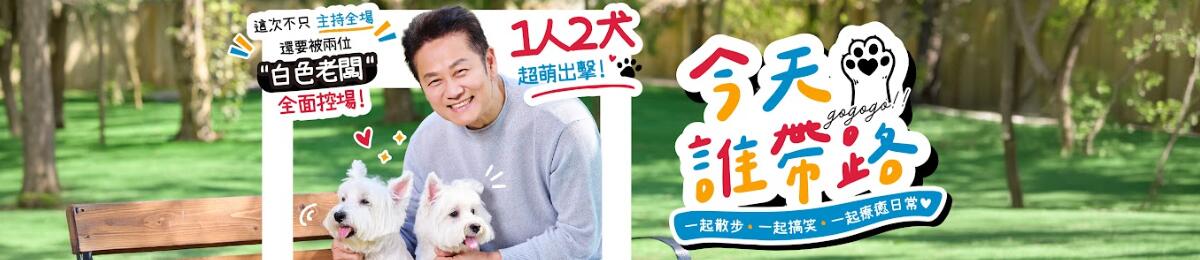今天谁带路